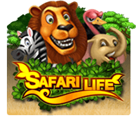 Safari Life